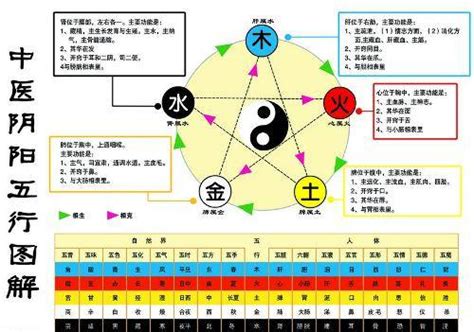 金生水 五行|怎么理解五行理论中的“金生水”？